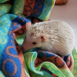 Meet your Posher, Mindy